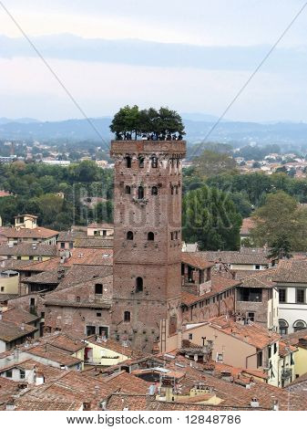 Guinigi-torni Lucca