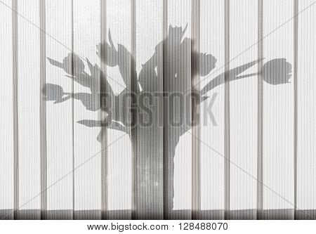 The shadow of the flowers on the windowsill in the blinds