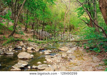 View of the Rosandra river in the the Karst region