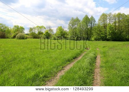 rural scene with rut road on meado