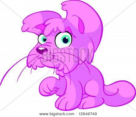 lindo gato rosa