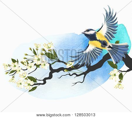 Vector illustration of flying tomtit on the blooming cherry branch on bright watercolor background