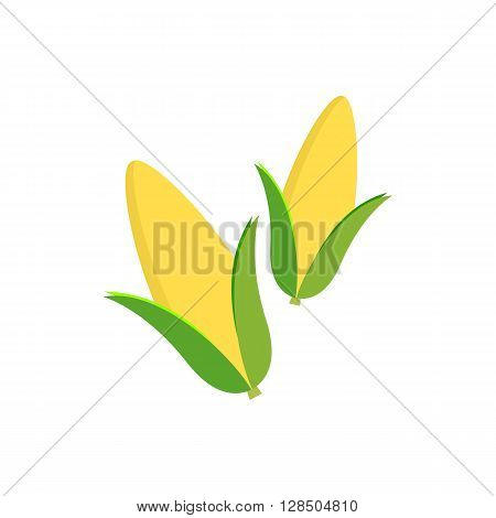 Corn on the Cob / Sweetcorn with leaves on transparent background flat graphic vector illustration. Fully adjustable & scalable.