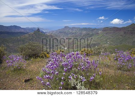 Gran Canaria, Caldera De Tejeda In April