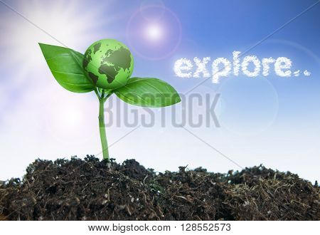 Explore word cloud next to a small green earth growing from a seedling
