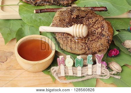 Honey with honeycomb on green leaves in natrue
** Note: Shallow depth of field