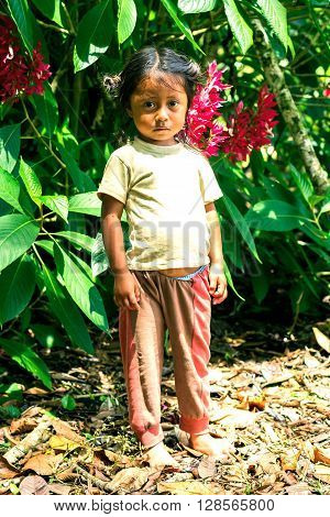 Yasuni Ecuador - 17 November, 2012: Young Indigenous Girl Looking Scared Straight To The Camera South America In Yasuni On November 17 2012