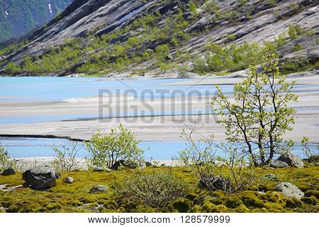Norwegian Landscape