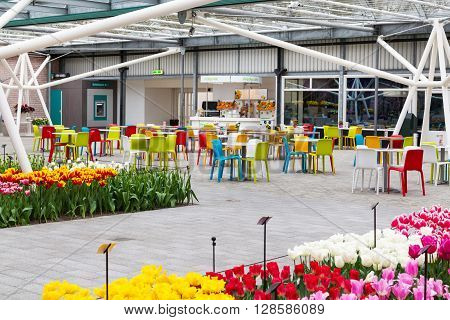 Lisse, Netherlands - April 4, 2016: Cafe and colorful tulips flower blossom in pavillion of dutch spring garden Keukenhof, Lisse, Netherlands