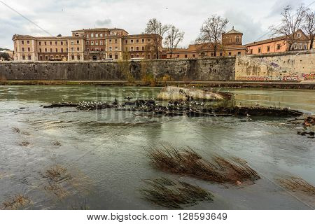 ROME - January 12: Nice view of the river Tiber January 12 2016 in Rome Italy.