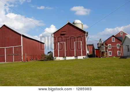Ferme Amish rouge