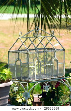 here the birds can eat and enjoy the flowers