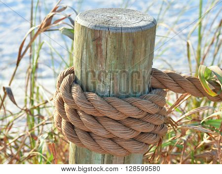 pole on the beach - beach caretaker strong pressure
** Note: Shallow depth of field