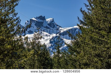 Summer mountain hiking landscapes of Provincial Park in British Columbia Canada Al's Habrich mountain trail