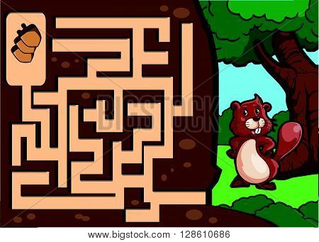 Maze game : squirell at forest .eps10 editable vector illustration design
