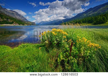 Amazing sunny day at Champferersee lake in the Swiss Alps. Silvaplana village, Switzerland, Europe.