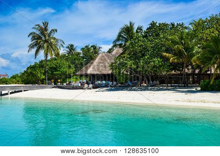 Maldives island - sandy beach and indian ocean