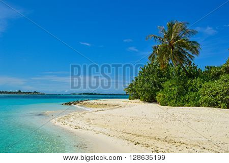 Maldives island - sandy beach and indian ocean