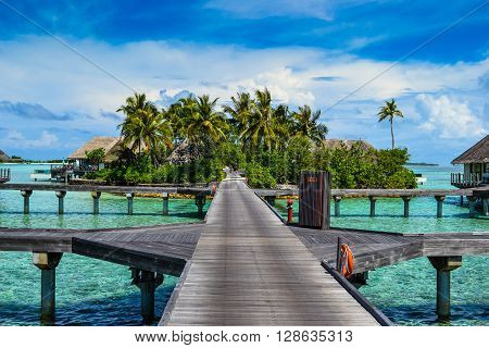 Maldives island - sandy beach and indian ocean