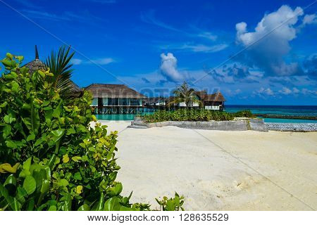 Maldives island - sandy beach and indian ocean
