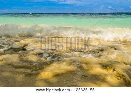 surf waves on the sandy beach maldives