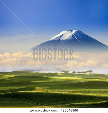 Beautiful Landscape With Nice Background Color