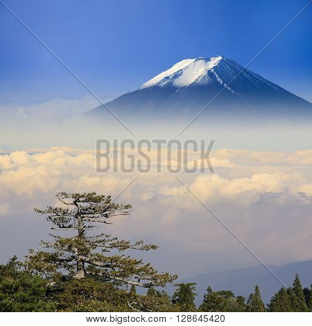 Beautiful Landscape With Nice Background Color