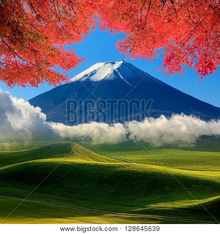 Beautiful Landscape With Nice Background Color