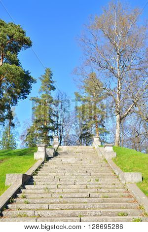 Trellis ladder in Mariental Park in Pavlovsk on the outskirts of St. Petersburg Russia.