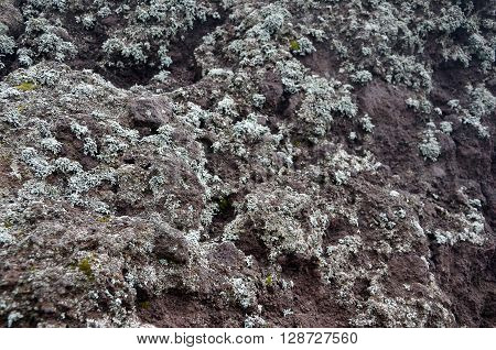 volcanic rock detail photo of nature stone