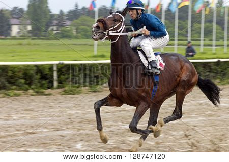 NALCHIK,RUSSIA - MAY 01,2016:Jockey Myrzabek Kappushev crosses the finish line in Nalchik,Caucasus,Russia on May 01,2016.