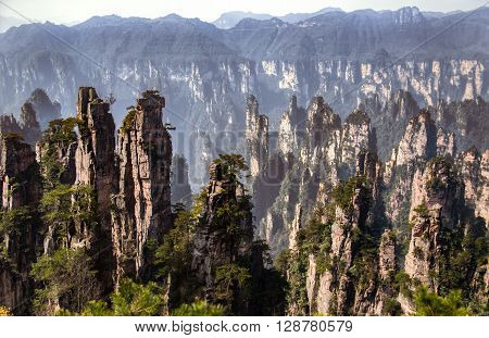 Zhang jia jie National Forest Park, Hunan, China