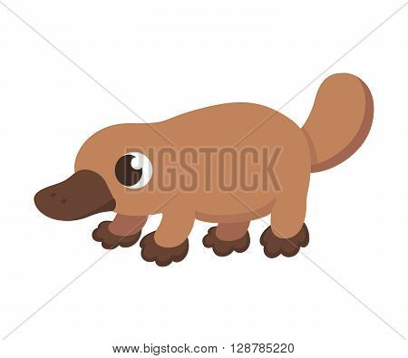 Cartoon platypus illustration. Cute little platypus isolated on white.