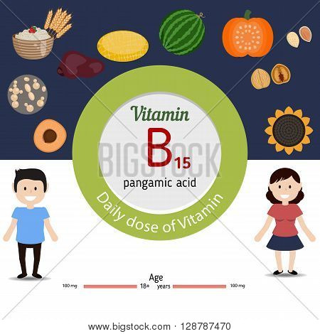 Vitamin B15 and vector set of vitamin B15 rich foods. Healthy lifestyle and diet concept. Pangamic acid. Daily dose of vitamin B15.