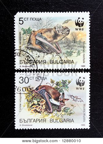 Znaczki.