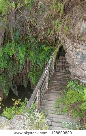 Entrance to the historic gold mine at Church Millwood. All mining operations stopped in 1892