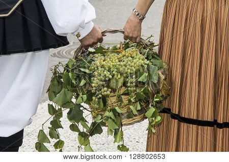 QUARTU S.E. ITALY - 15 September 2013: Grape Festival in honor of the celebration of St. Helena - Sardinia - Sardinian costumes Boys are holding a basket with grapes