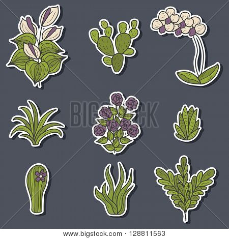 Set of cute cartoon hand drawn houseplants stickers