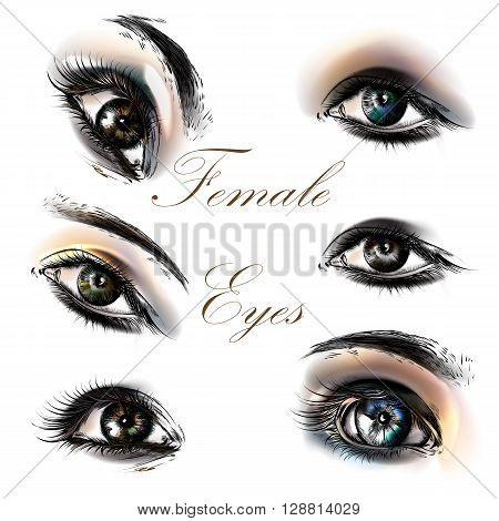 A collection or set of beautiful realistic female eyes for design