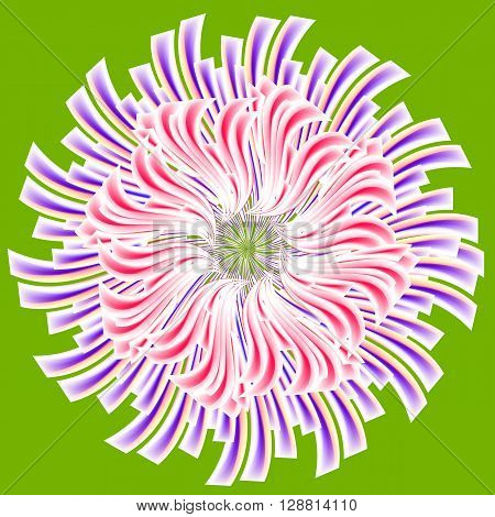 art floral vintage rainbow background with asters