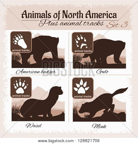 North America animals and animal tracks, footprints. Vector set.