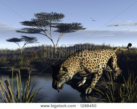 Wild Life