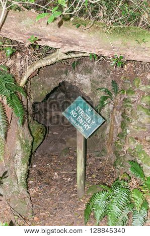MILLWOOD SOUTH AFRICA - MARCH 4 2016: Historic mine shaft circa 1880 near Jubilee Creek a picnic spot in the Knysna Forest near Millwood