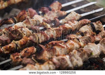 Skewers on the grill at nature. Image close-up