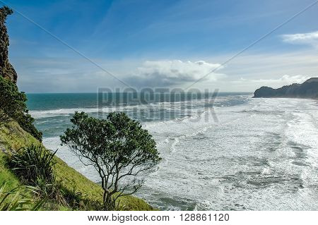 View of Piha beach from the slopes of Lion's rock