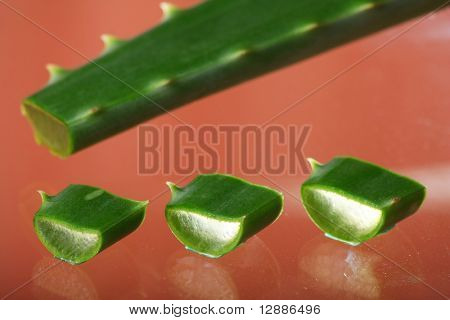 Aloe