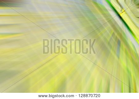 The Abstract