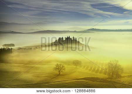 Tuscany foggy morning farmland and cypress trees country landscape. Italy Europe.