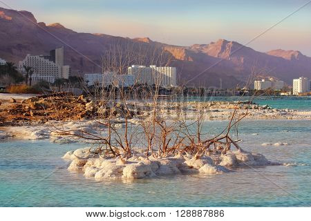 deposits of mineral salts, typical landscape of the Dead Sea, Israel