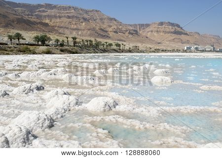 deposits of mineral salts, typical landscape of the Dead Sea, Israel